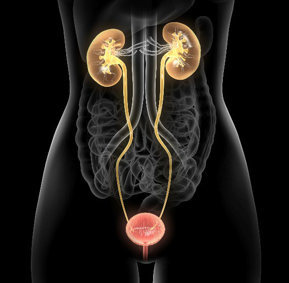 SCLEROZA MULTIPLĂ ȘI INFECȚIILE URINARE