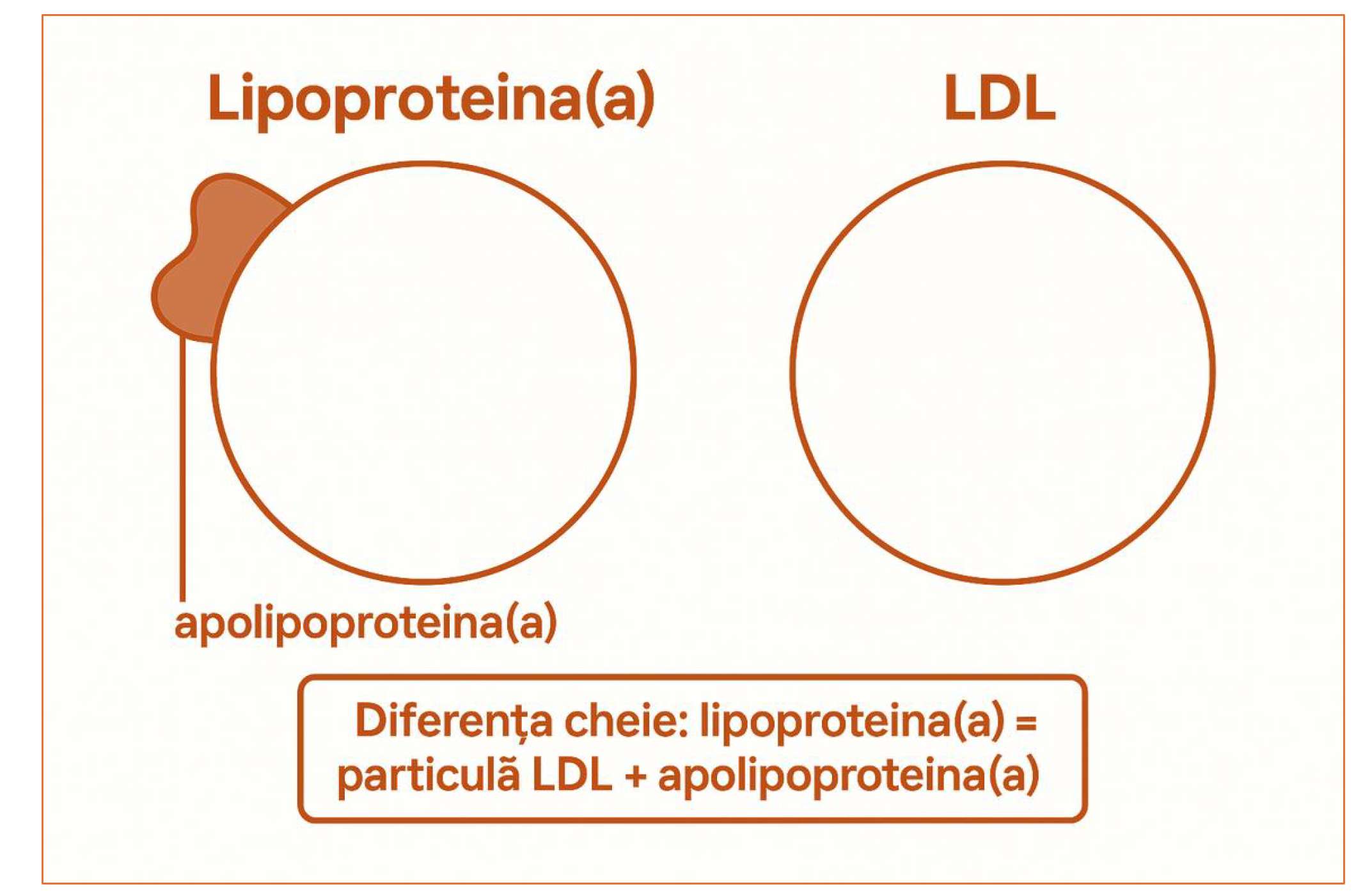 Lipoproteina