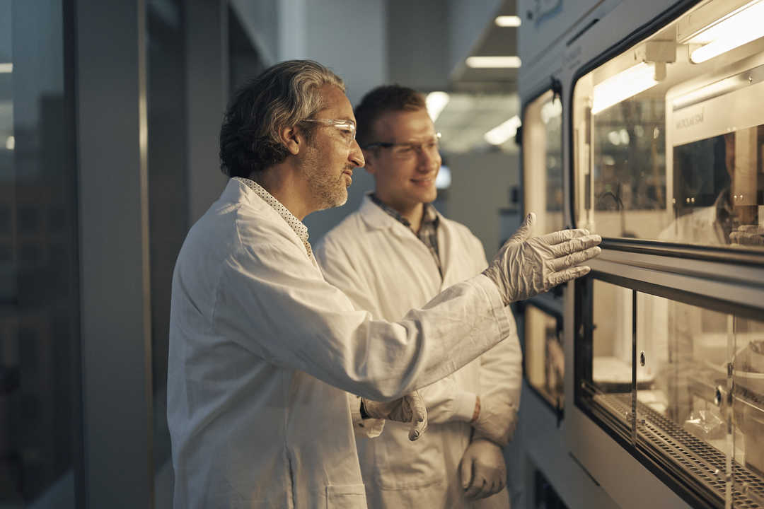 Intelegerea tratamentului