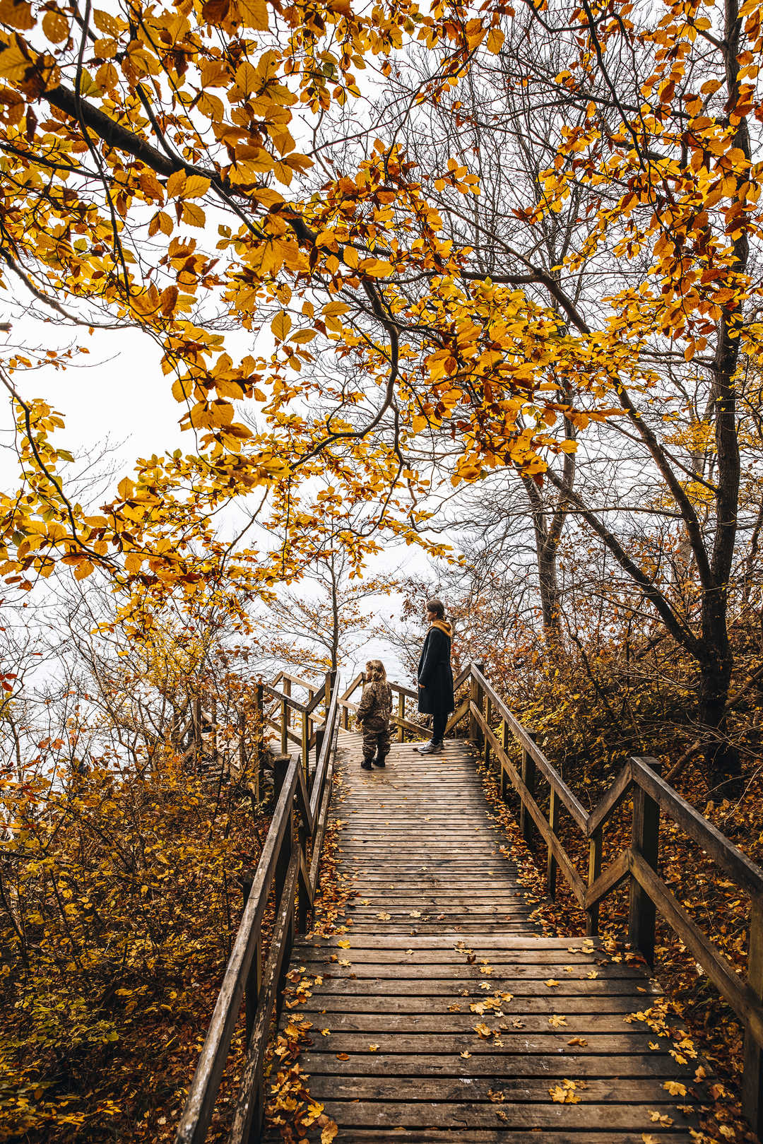 CMM și o calitate a vieții bună